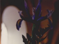 Diverse 002 : Diverse